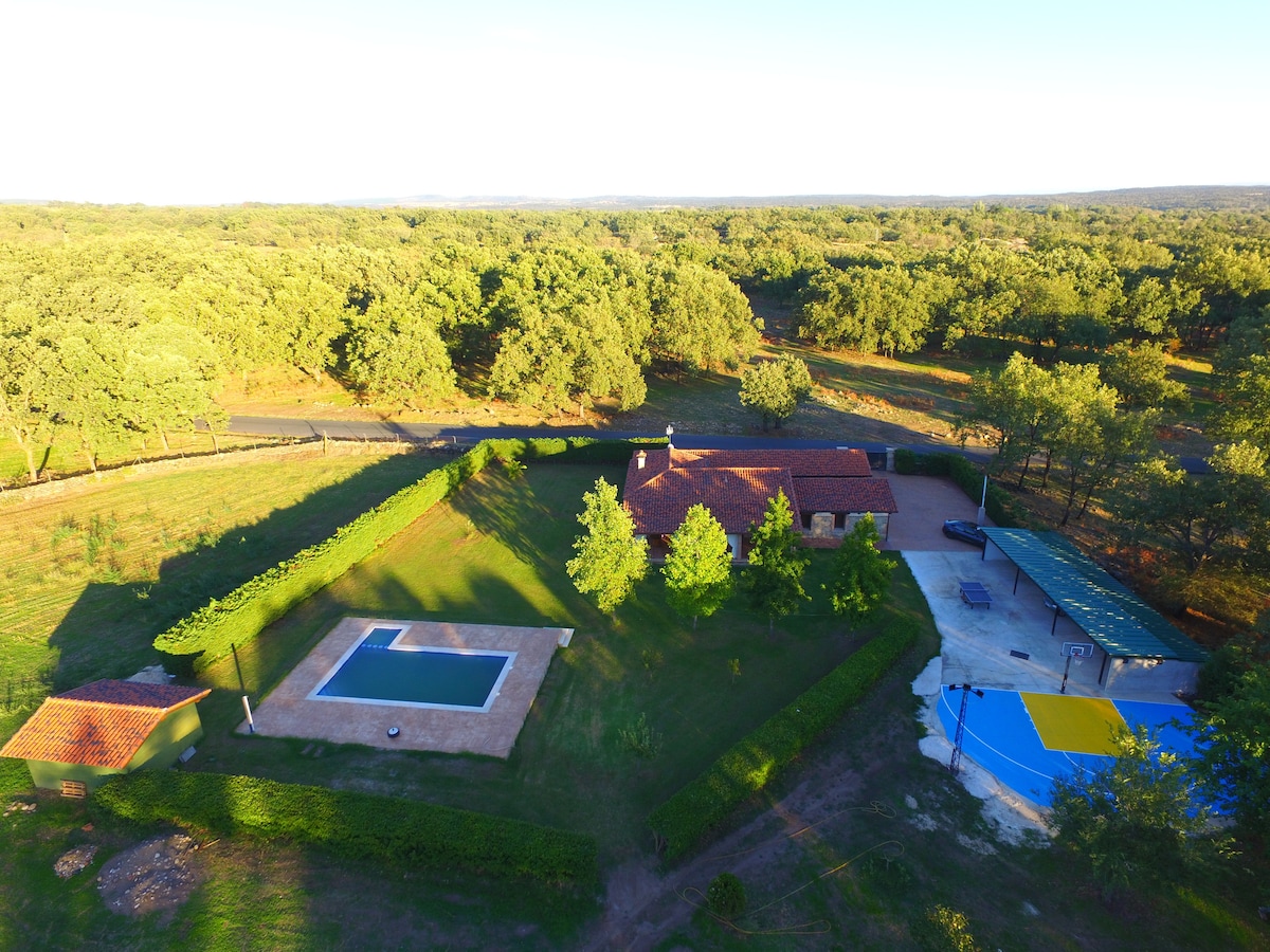 An aerial view captures a spacious property surrounded by lush greenery. The highlight includes a rectangular pool, flanked by manicured grass and trees. Nearby, recreational areas are visible, including paved surfaces suitable for sports, enhancing the layout's appeal for outdoor activities.