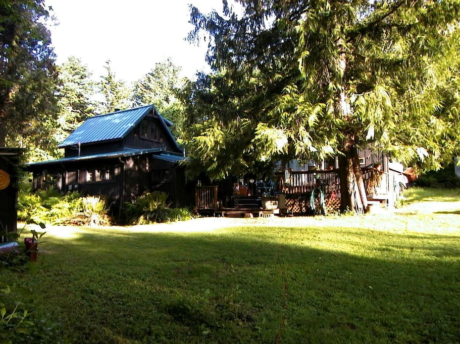 summer from NW