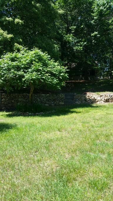 Your backyard with a trumpet vine that will sport red flowers in the summer that the hummingbirds love.