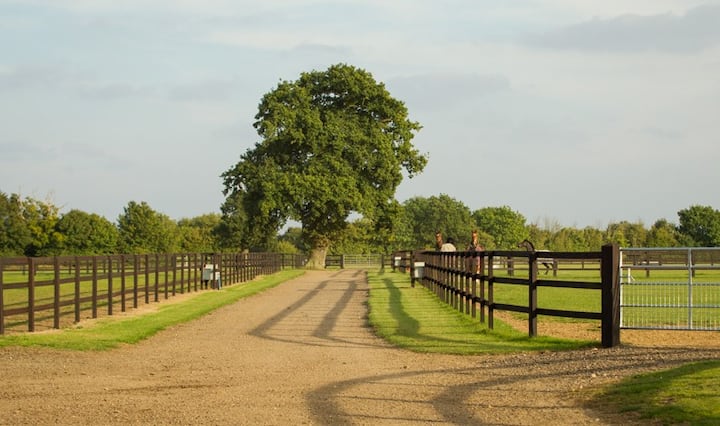 Stable Barn 4 Bedroom House Houses For Rent In Horringer England United Kingdom