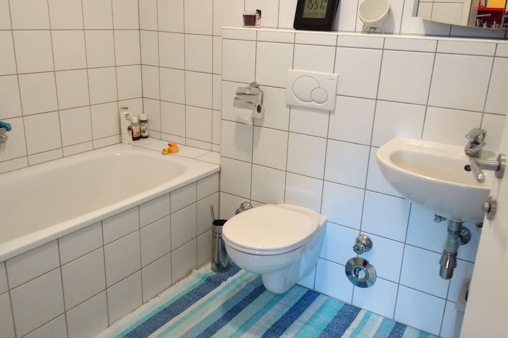 The white bath with tub (or shower curtain). Plus washing maschine and hairdryer.