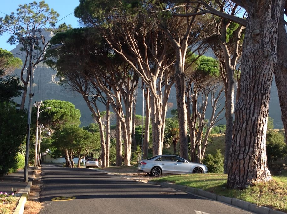 Capel Road is on the edge of Table Mountain Nature Reserve