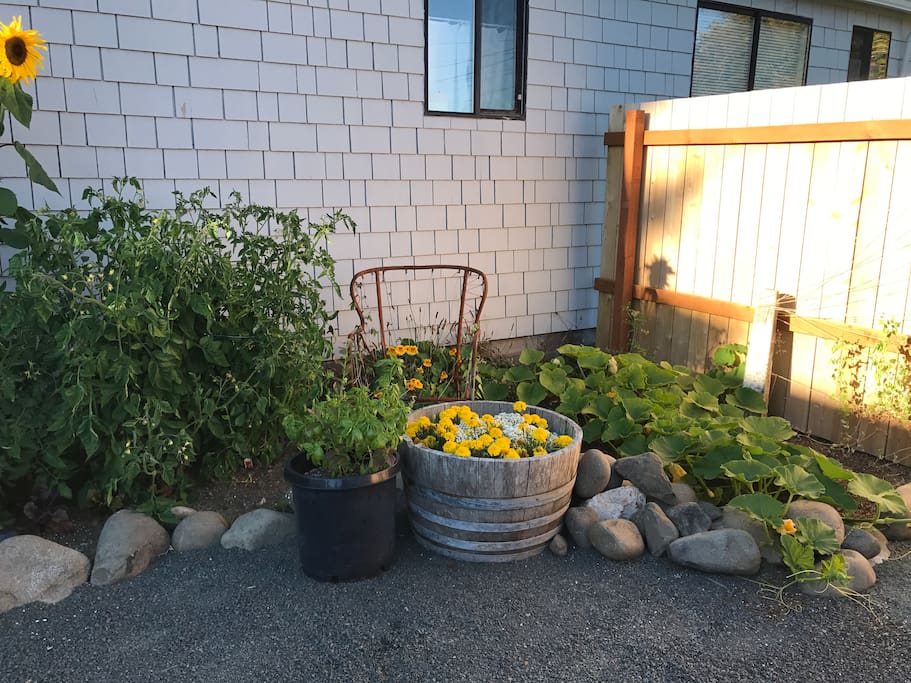 Garden view right off of deck.