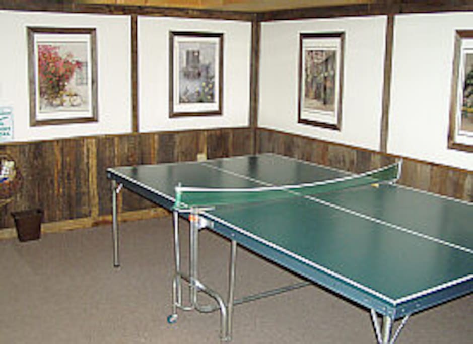 Lower level ping-pong / ski storage