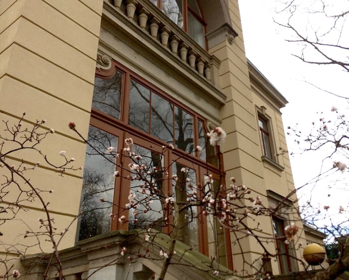 5Raumwohnung in historischer Villa Wohnungen zur Miete in Dresden, Sachsen, Deutschland Airbnb