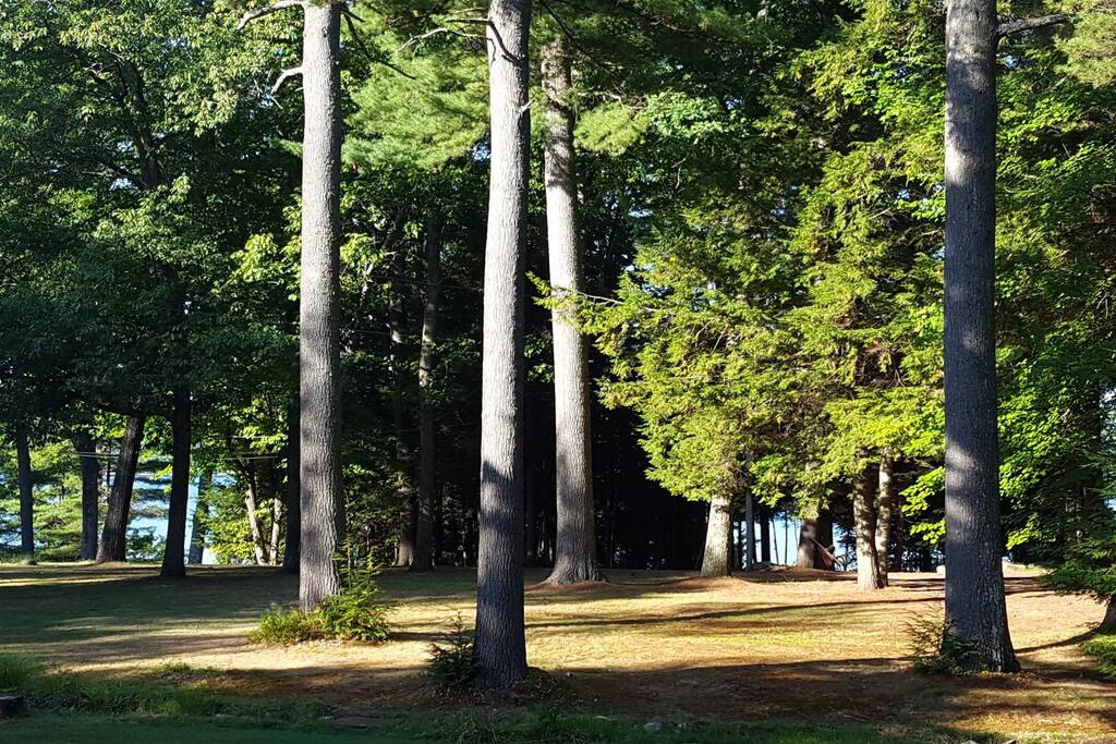 View from front screen porch