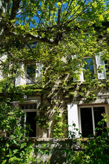 Maison ancienne avec beaucoup de charme, recouverte de vigne vierge. terrasse ombragée