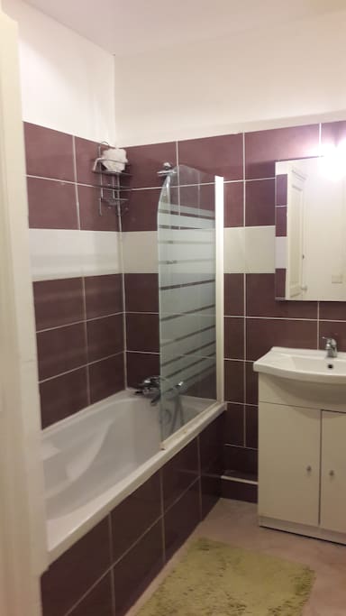 Salle de bain avec douche/baignoire