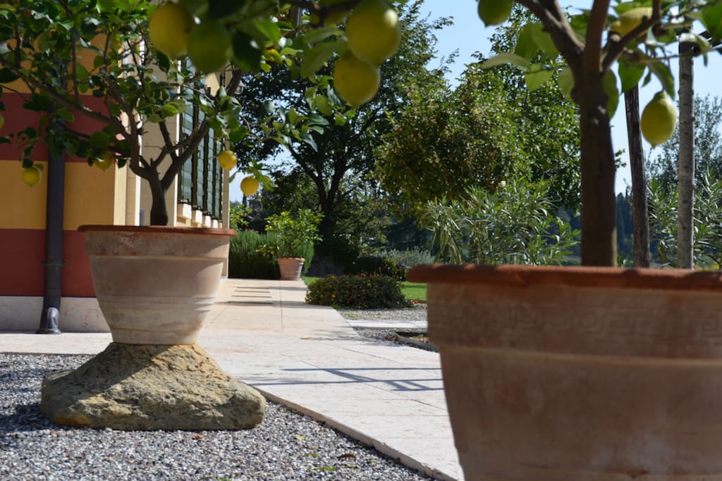 Particolare giardino Agriturismo Sommavalle