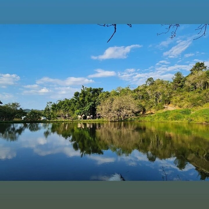 A serene landscape is captured, with a calm body of water reflecting the surrounding greenery and blue sky. Gentle hills are lined with trees, showcasing a blend of lush foliage and soft clouds overhead.