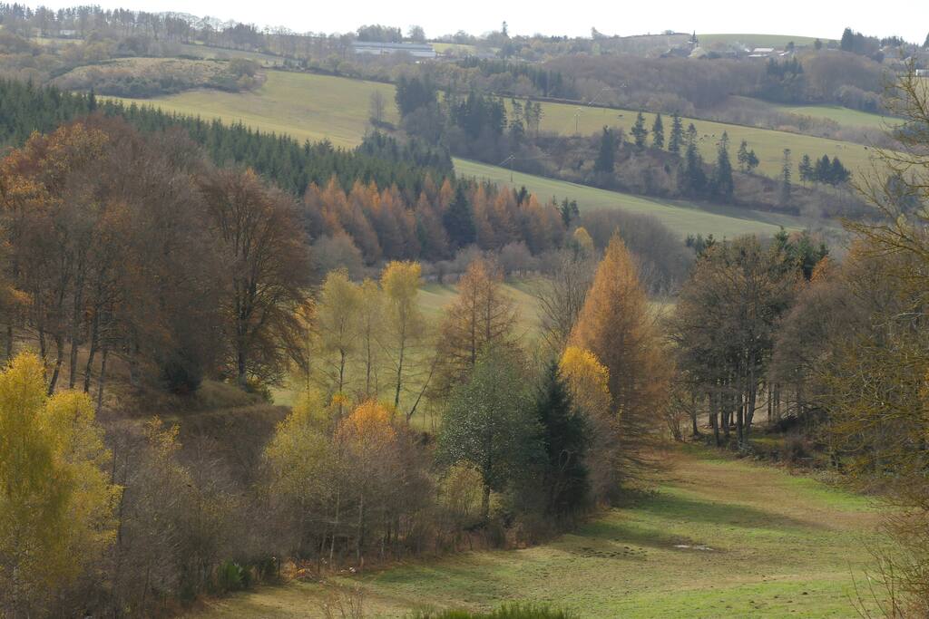 Vue depuis le gîte