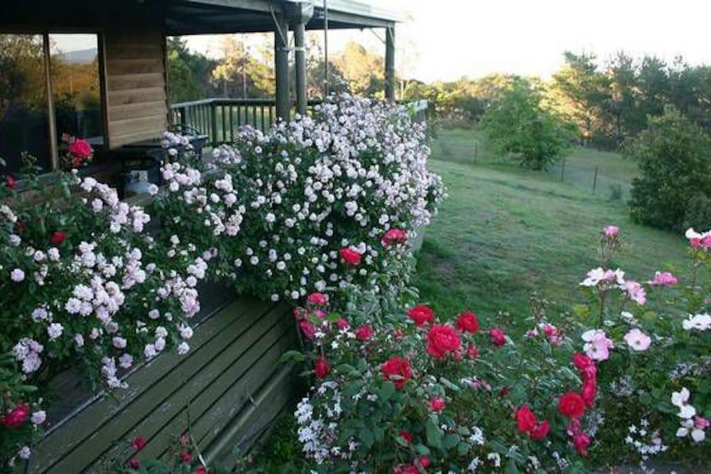 Verandah in spring