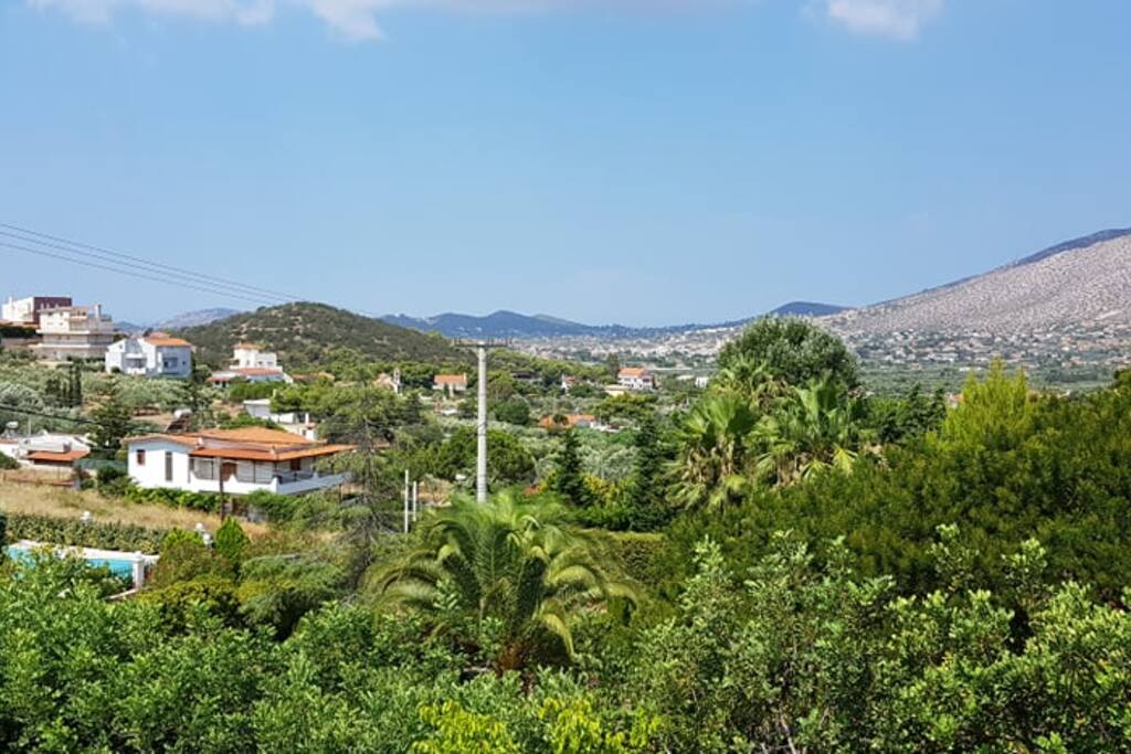 Beautiful view of the horizon from the veranda.