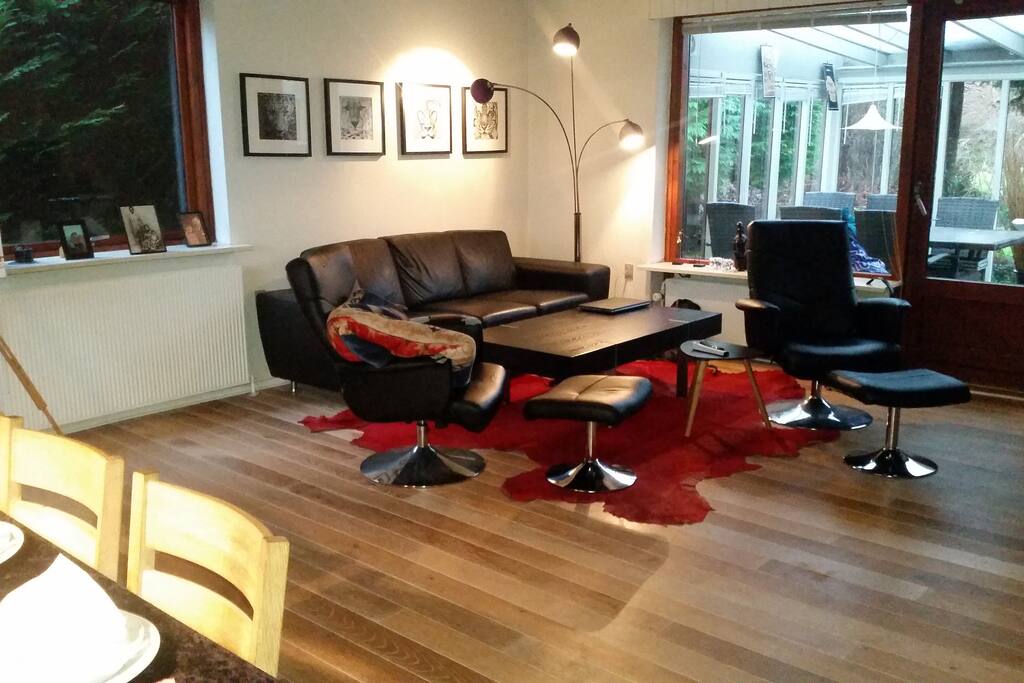 The living room - flat screen tv, computer, PlayStation4...