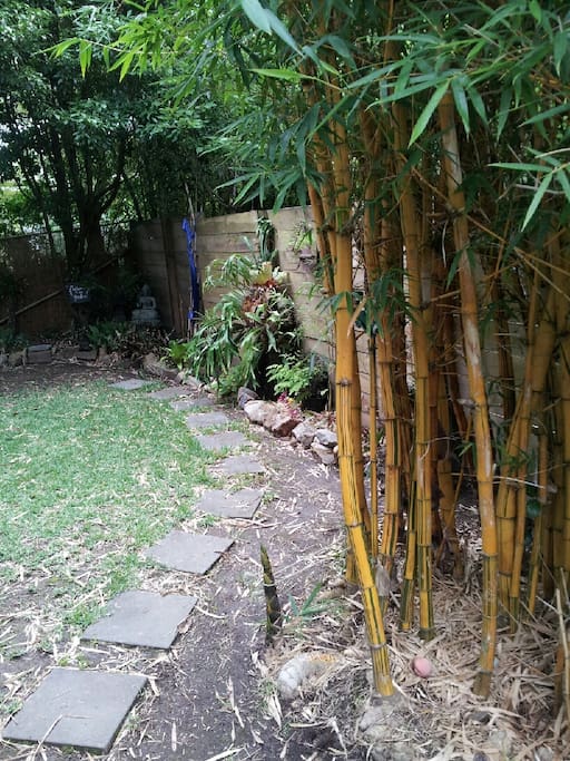 Private garden area.