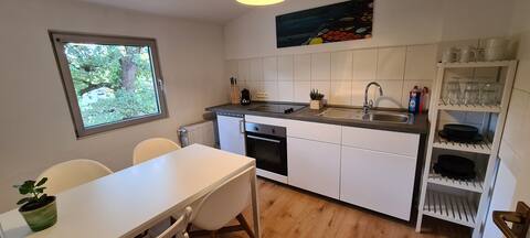 Roof top apartment in central location of Mainz