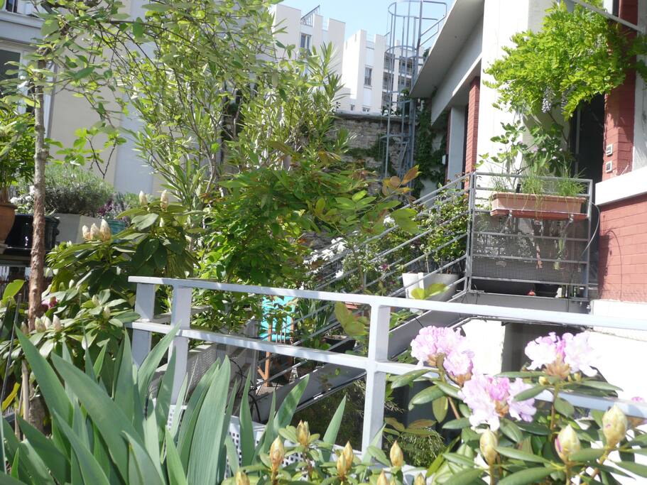 la terrasse