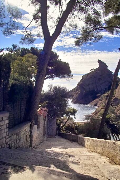 L'acces à la calanque par les marches