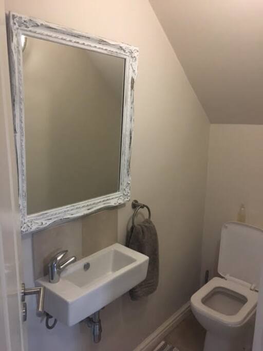 Guest bathroom