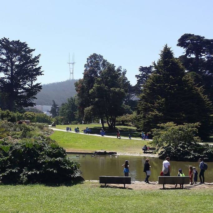 Photo of San Francisco Botanical Garden