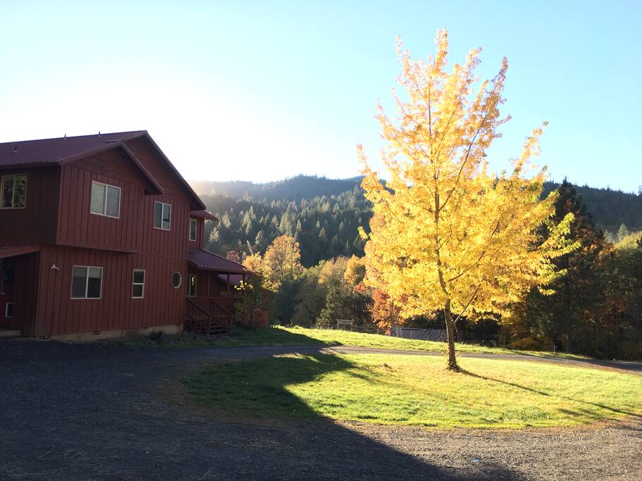Perfect Fall Days