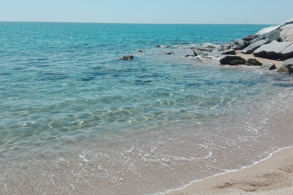Playas con agua de muy buena calidad.