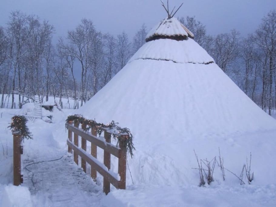 The farm lavvo. You could rent it to sleep in or we could serve You dinner made from food made at the farm. We can also offer You stargazing with sami approach or sami music
