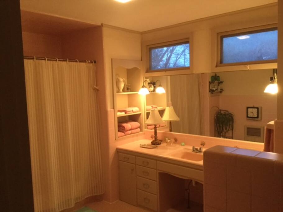 Private Bathroom from Bedroom