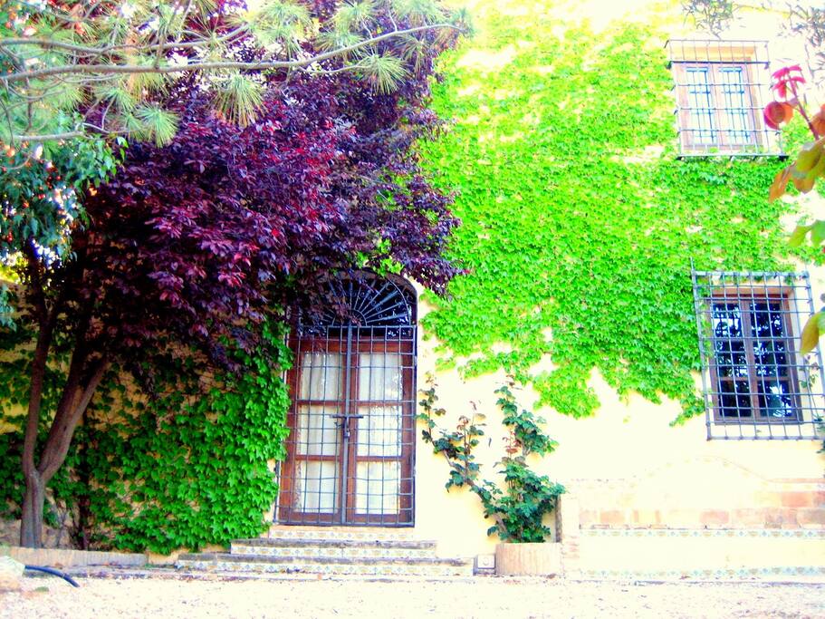 Jardin