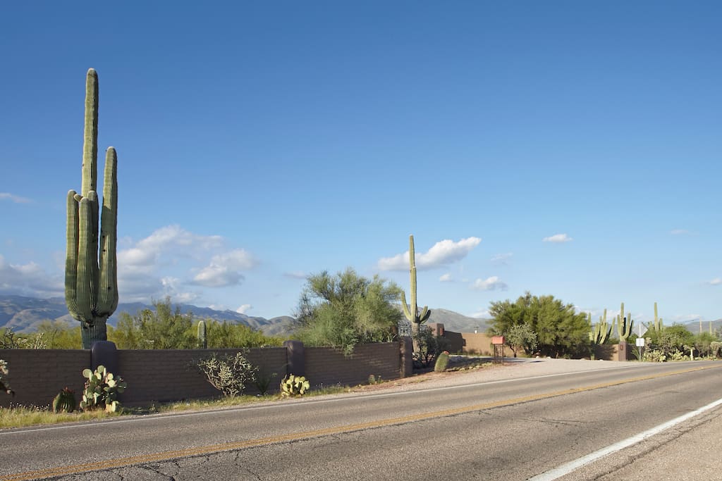 Adobe Wall in Front of House