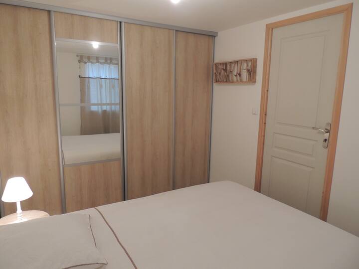 Bedroom with large closet and mirror