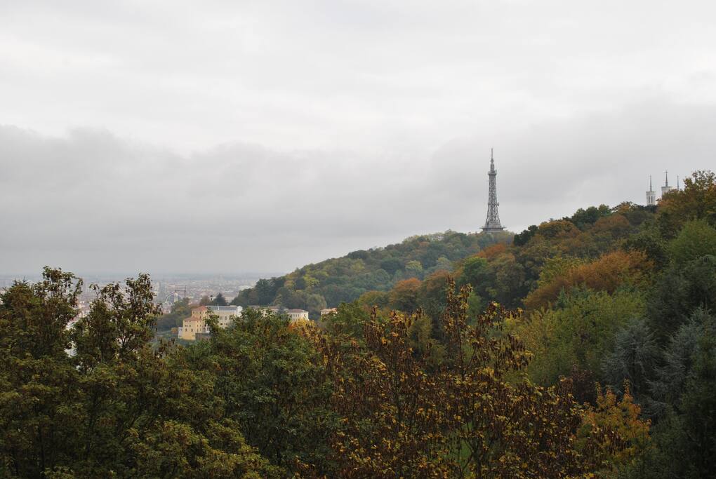 La vue depuis la chambre