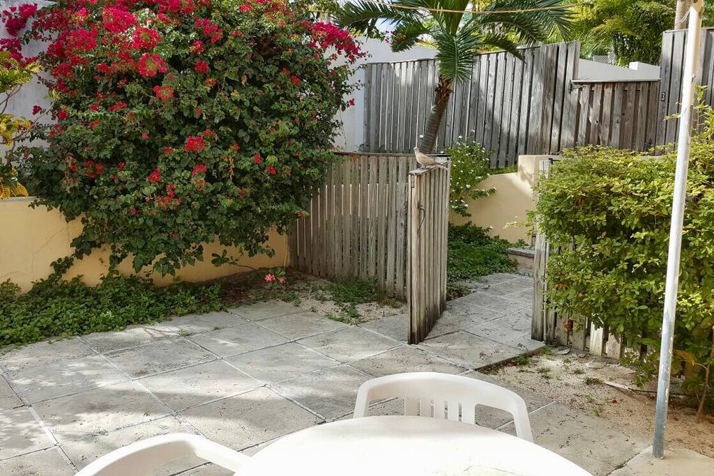 Private Entrance To The Patio Of Your Villa