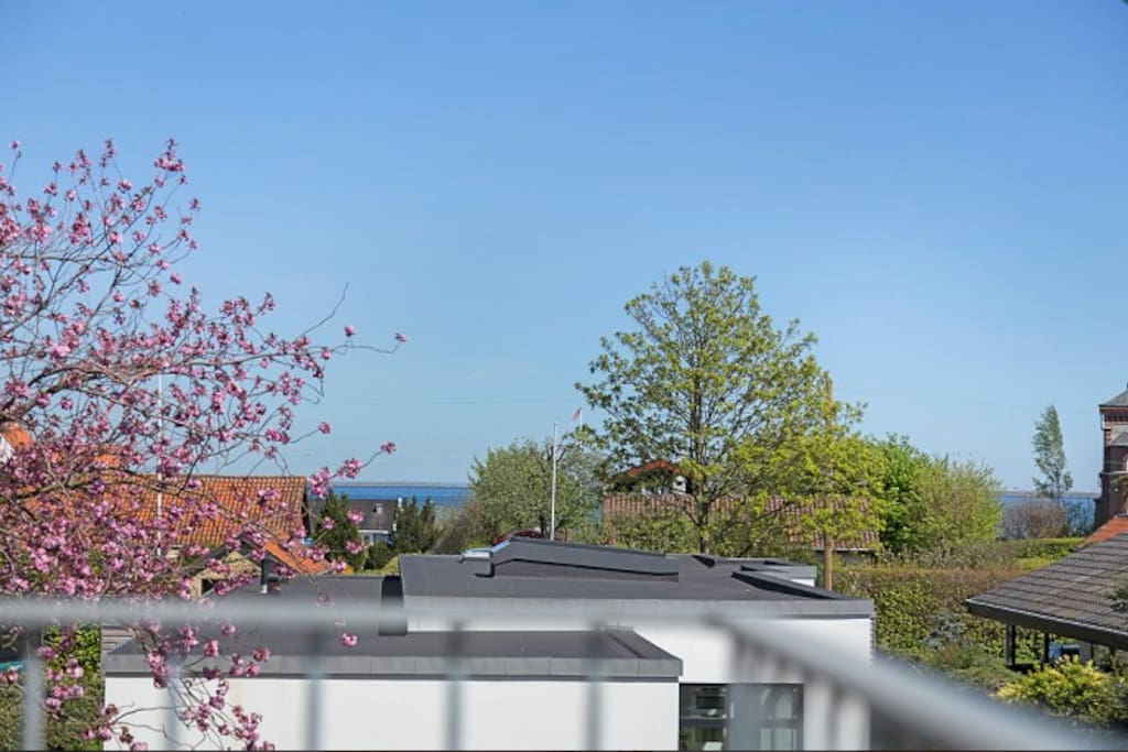 Seaview (1 floor).
