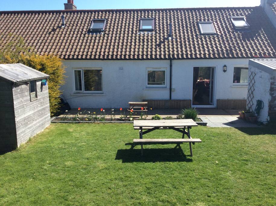 Back garden
