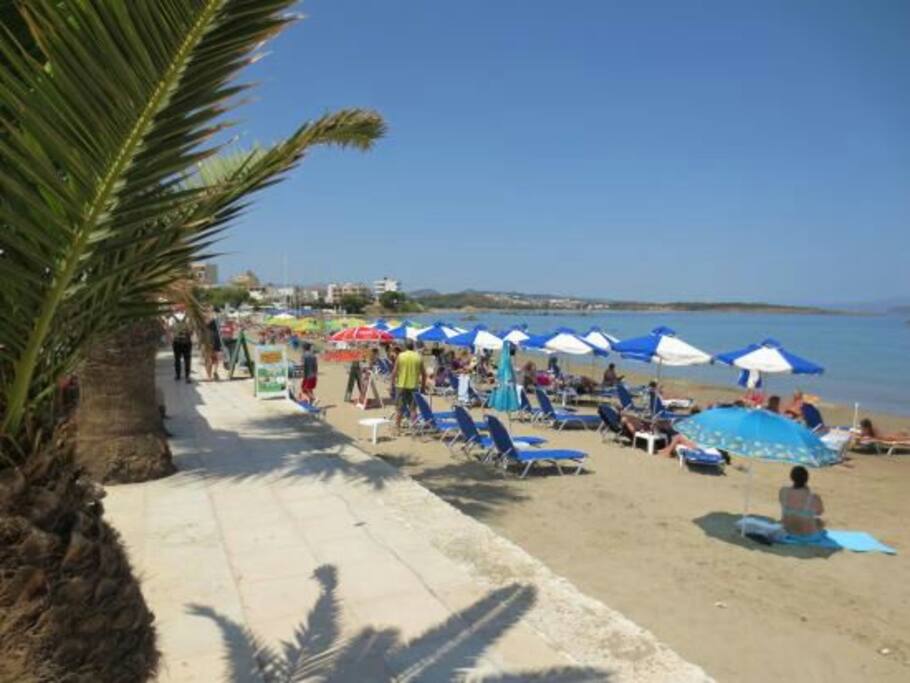 the beach in front of the house