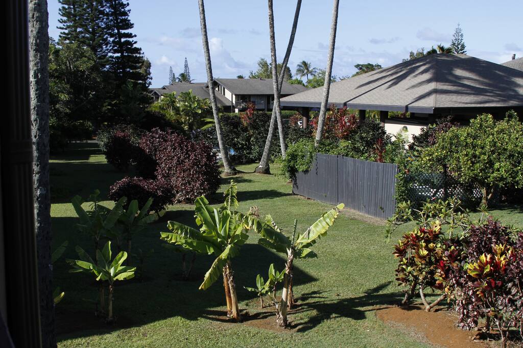 Outside