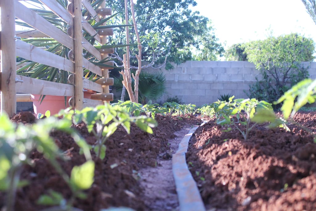 Seguiteci sui Social @Dag Home Holiday
#daghomeholiday #farmtotable #workinprogress