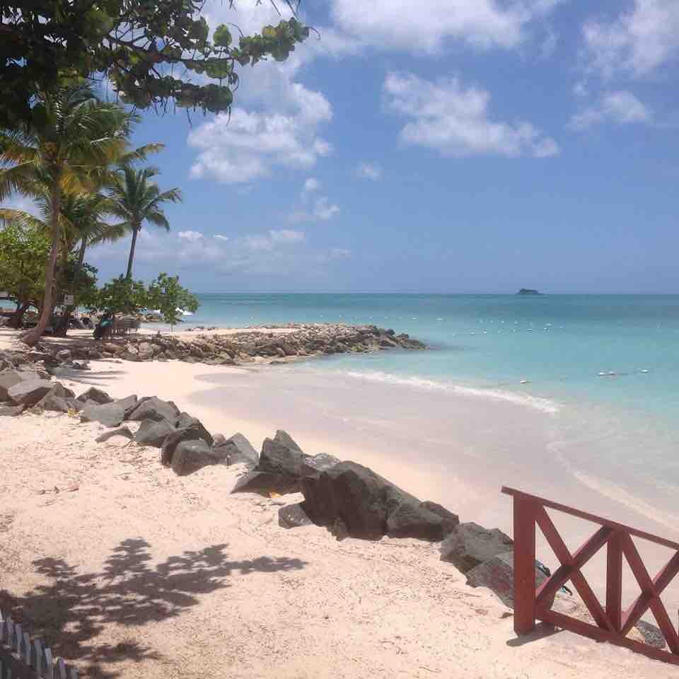 A serene beachfront scene features soft sandy shores meeting calm turquoise waters. Palm trees offer shade along the coastline, while rocky outcrops extend into the sea. Gentle waves lapping at the shore reflect the clear blue sky dotted with clouds.