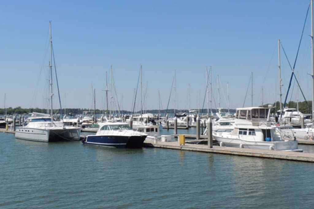Skull Creek Marina