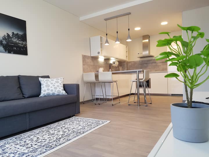 Ozas Apartment Near Center - Vilnius
