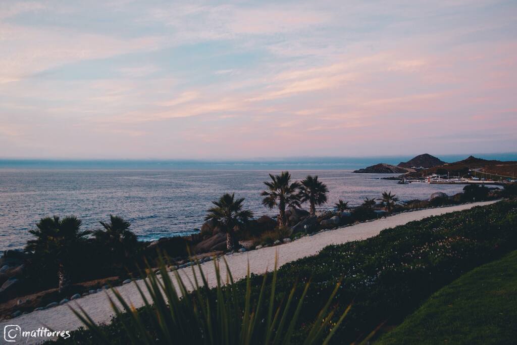Vista desde el patio