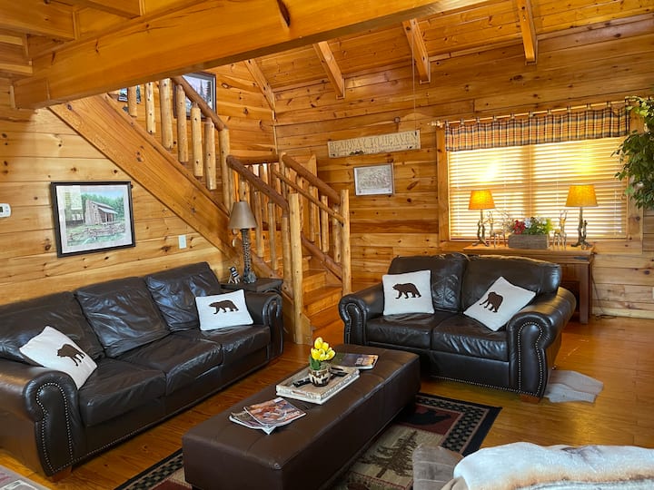 Kitanda cha kustarehesha cha sofa cha malkia wa ngozi na kiti cha kupendeza katika chumba cha Familia