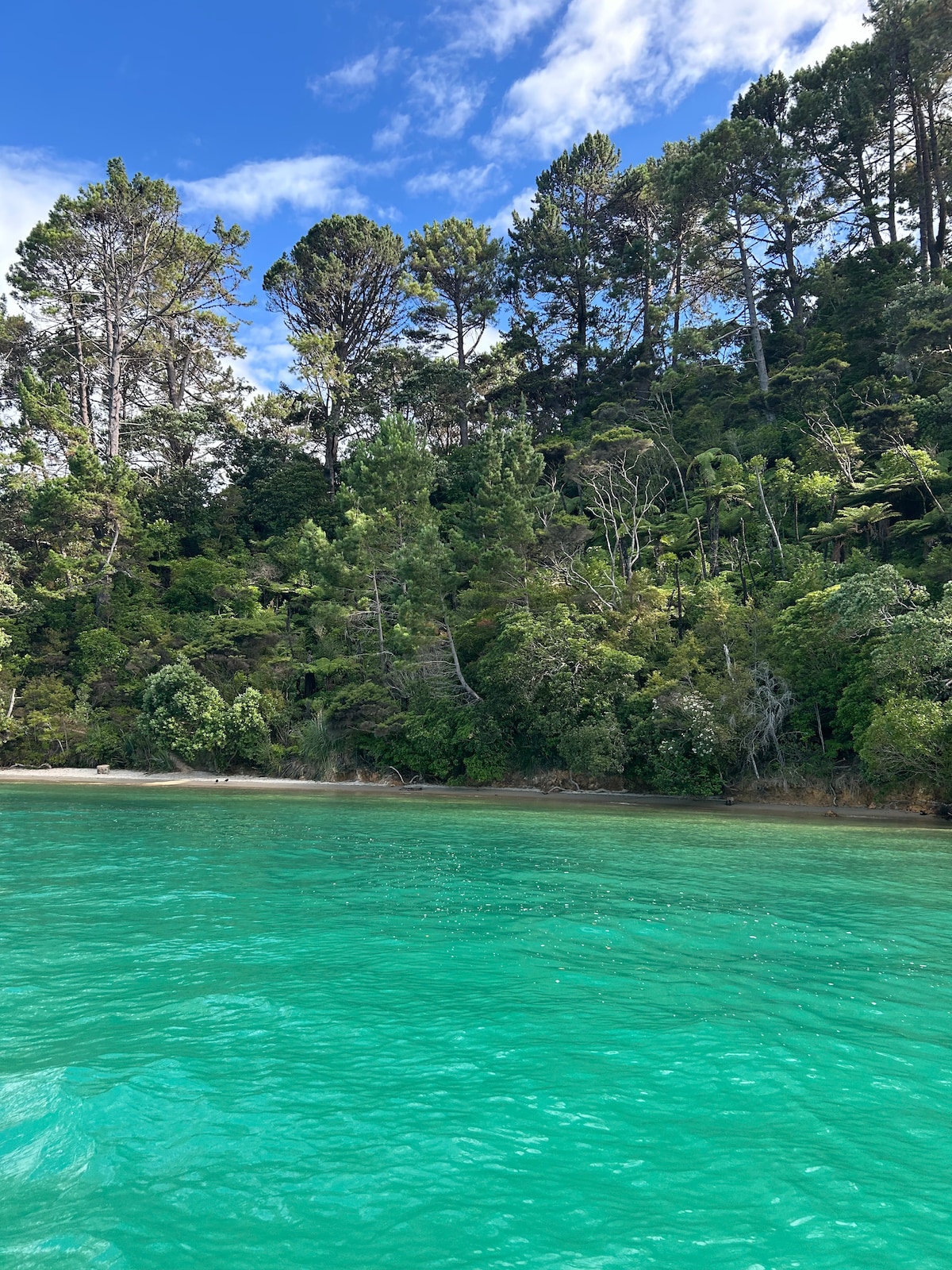 Opera point swimming area at New Chums in Whangapoua