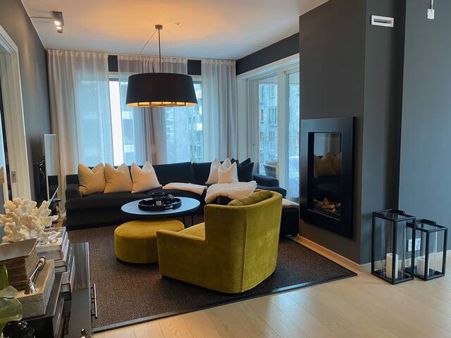 Luxury apartment in the best area in Oslo gallery image 2