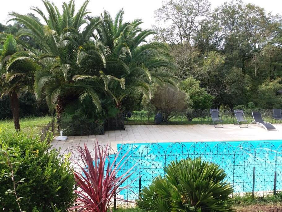 Espace piscine
