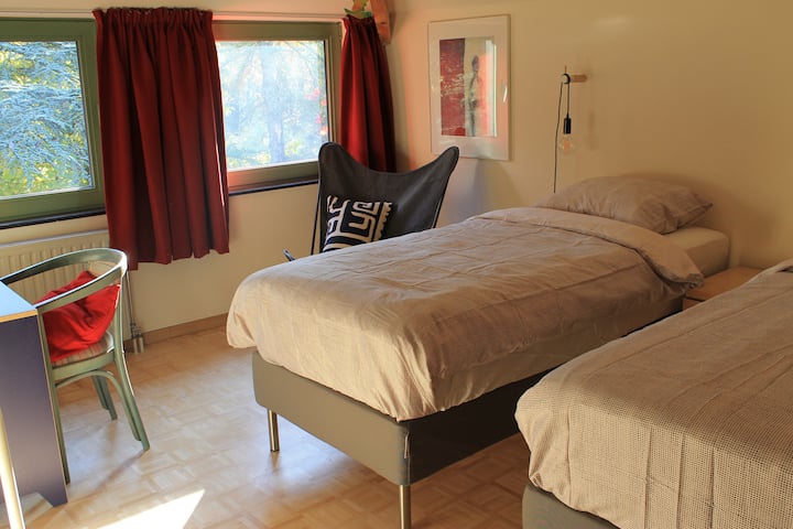 ห้องพักกว้างขวางพร้อมเตียงสปริง 2 เตียงและวิวสวน