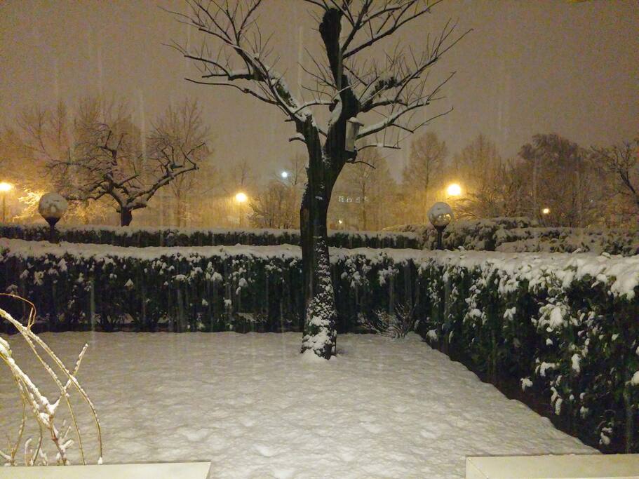 garden