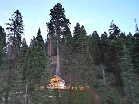 Perfection: Private Giant Sequoias, 100 Mile Views