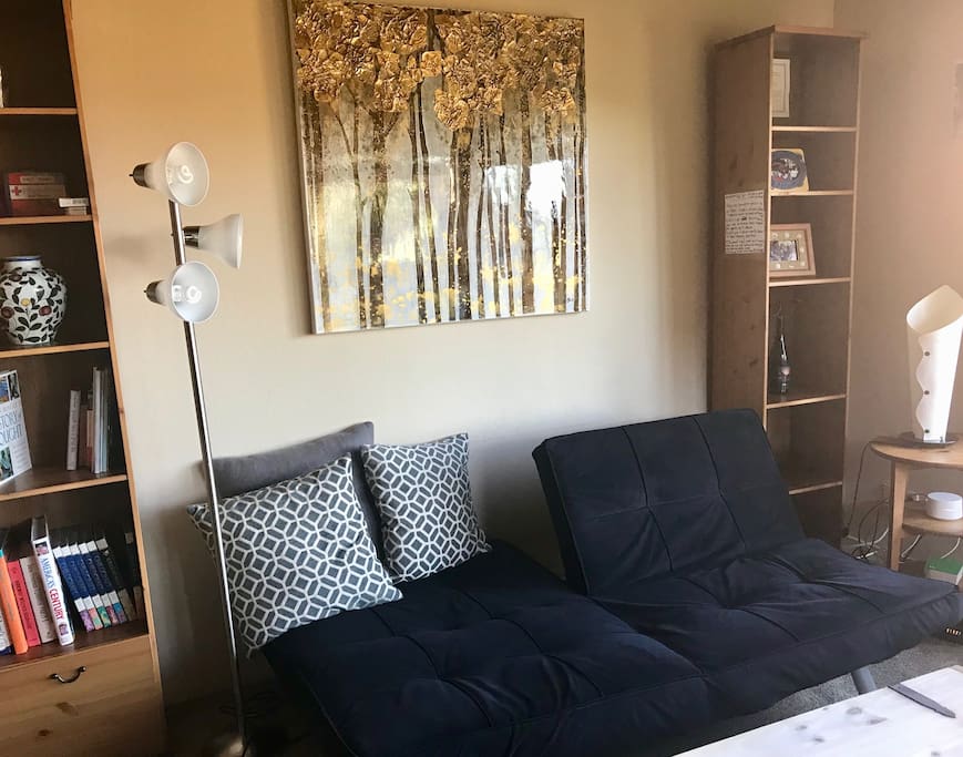 Living room with convertible couch/futon, internet TV and more
